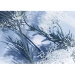 BURBERRY BURBERRY BRIT SPLASH FOR MEN для мужчин flaconium.ru