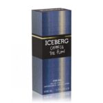 ICEBERG CHANGE THE FLOW для мужчин flaconium.ru