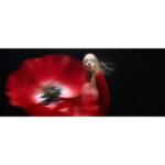 JO MALONE LONDON SCARLET POPPY COLOGNE INTENSE унисекс flaconium.ru