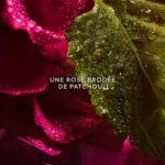 GUERLAIN LA PETITE ROBE NOIRE EAU DE PARFUM ABSOLUE для женщин flaconium.ru