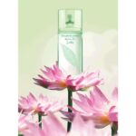 ELIZABETH ARDEN GREEN TEA LOTUS для женщин flaconium.ru