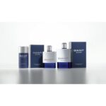 GANT GANT SILVER для мужчин flaconium.ru