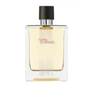 HERMES TERRE D’HERMES FLACON H 2021 EAU DE TOILETTE для мужчин flaconium.ru
