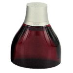 ANTONIO BANDERAS SPIRIT FOR MEN для мужчин flaconium.ru