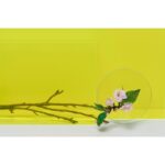 LOEWE AIRE FANTASIA для женщин flaconium.ru