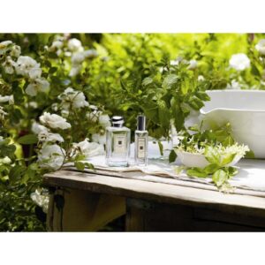 JO MALONE LONDON HONEYSUCKLE & JASMINE для женщин flaconium.ru