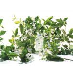 JO MALONE LONDON OSMANTHUS BLOSSOM для женщин flaconium.ru