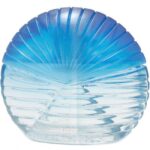 FRANCK OLIVIER BLUE для женщин flaconium.ru