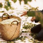 GIVENCHY L’INTERDIT BURNING NEROLI для женщин flaconium.ru