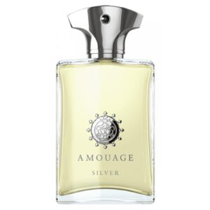 AMOUAGE SILVER MAN для мужчин flaconium.ru