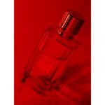 EX NIHILO EXPLICITE унисекс flaconium.ru