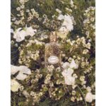 ETRO WHITE MAGNOLIA унисекс flaconium.ru