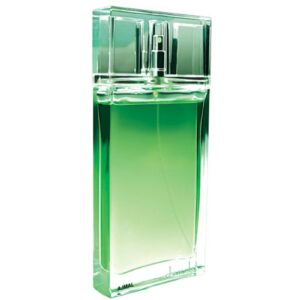 AJMAL CHEMYSTERY для мужчин flaconium.ru