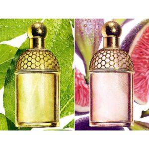 GUERLAIN AQUA ALLEGORIA LAURIER — REGLISSE для женщин flaconium.ru