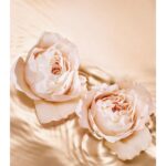 JIMMY CHOO TEMPTING ROSE для женщин flaconium.ru