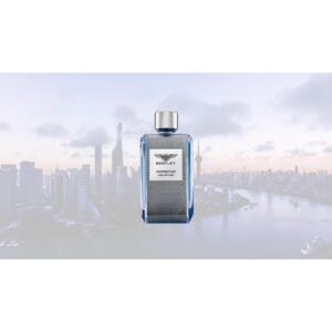 BENTLEY MOMENTUM UNLIMITED для мужчин flaconium.ru