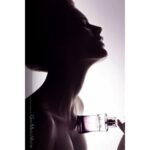 GIANMARCO VENTURI GIANMARCO VENTURI WOMEN для женщин flaconium.ru