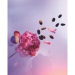 LOUIS VUITTON ATTRAPE-REVES для женщин flaconium.ru