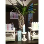 EAU D’ITALIE ACQUA DECIMA унисекс flaconium.ru