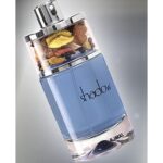 AJMAL SHADOW GREY для мужчин flaconium.ru