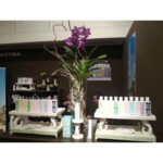 EAU D’ITALIE ACQUA DECIMA унисекс flaconium.ru