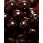 CALVIN KLEIN MY EUPHORIA для женщин flaconium.ru