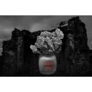 FILIPPO SORCINELLI EPICENTRO унисекс flaconium.ru