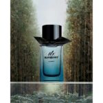 BURBERRY MR. BURBERRY ELEMENT для мужчин flaconium.ru