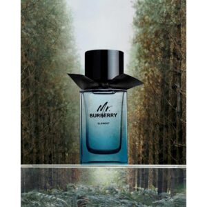 BURBERRY MR. BURBERRY ELEMENT для мужчин flaconium.ru