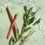 LACOSTE FRAGRANCES MATCH POINT COLOGNE EAU DE TOILETTE для мужчин flaconium.ru