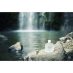 GIORGIO ARMANI ACQUA DI GIOIA EAU DE TOILETTE для женщин flaconium.ru