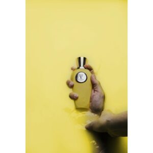 V CANTO BRUN унисекс flaconium.ru