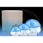 FRANCK OLIVIER BLUE для женщин flaconium.ru