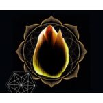 HERMETICA MULTILOTUS унисекс flaconium.ru