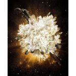 CAROLINA HERRERA GOOD GIRL MIDNIGHT для женщин flaconium.ru