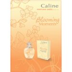GRES CALINE BLOOMING MOMENTS для женщин flaconium.ru