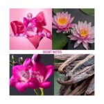 JUICY COUTURE VIVA LA JUICY PETALS PLEASE для женщин flaconium.ru