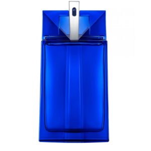 MUGLER ALIEN MAN FUSION для мужчин flaconium.ru