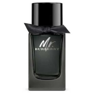 BURBERRY MR. BURBERRY EAU DE PARFUM для мужчин flaconium.ru