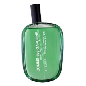 COMME DES GARCONS COMME DES GARCONS EAU DE COLOGNE для мужчин flaconium.ru