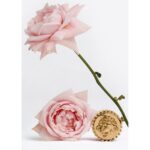 VERSACE ECLAT DE ROSE унисекс flaconium.ru