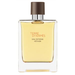 HERMES TERRE D’HERMES EAU INTENSE VETIVER для мужчин flaconium.ru