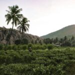 GIVENCHY L’INTERDIT NOCTURNAL JASMINE для женщин flaconium.ru