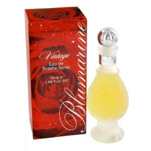 BLUMARINE VINTAGE для женщин flaconium.ru