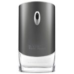 GIVENCHY GIVENCHY POUR HOMME SILVER EDITION для мужчин flaconium.ru
