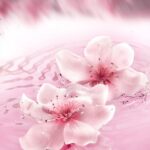 ESTEE LAUDER DREAM DUSK унисекс flaconium.ru