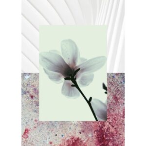 AQUALIS BLOM унисекс flaconium.ru