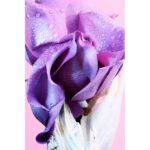 BVLGARI MA’MAGNIFICA для женщин flaconium.ru