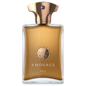 AMOUAGE DIA MAN для мужчин flaconium.ru