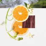 ANNAYAKE OMIZU FOR HER для женщин flaconium.ru